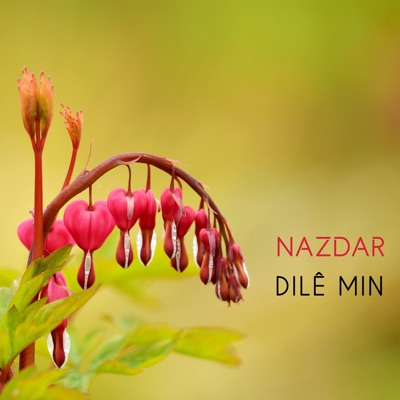 Nazdar - Navrinci