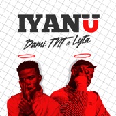 Iyanu (feat. Lyta) artwork