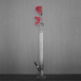 Терпи СТОУНД