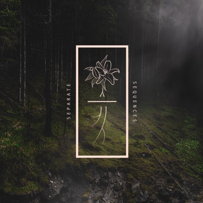 Separate Sequences - Single