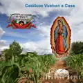 CATOLICOS VUELVAN A CASA