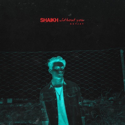 Without You (feat. aeyjay) - Single