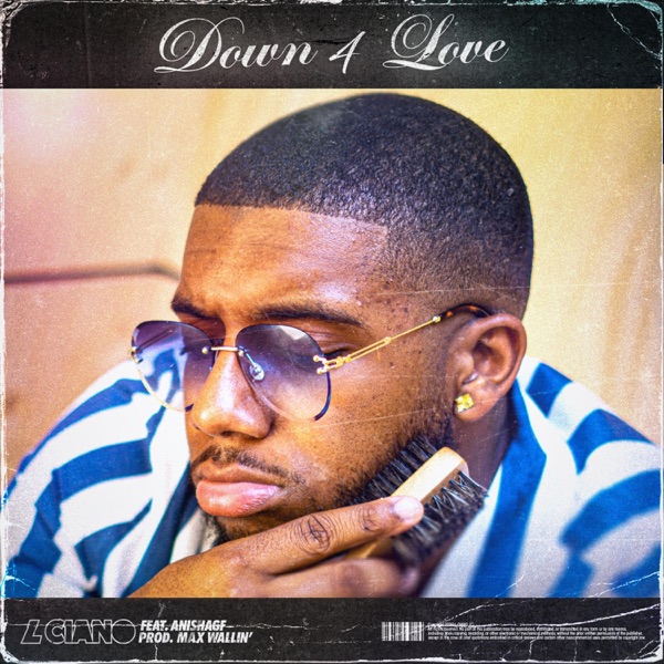Down 4 Love (feat. Anishagf)