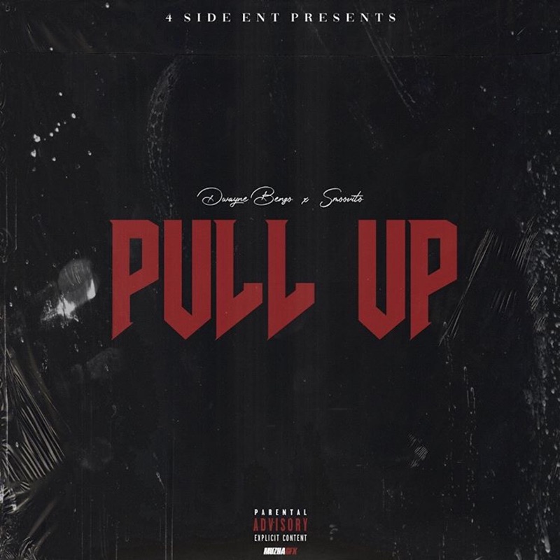 Pull Up (feat. Smoovito) - Single