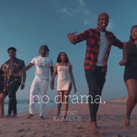 No Drama (feat. Kraaltje) - Single - 2sync