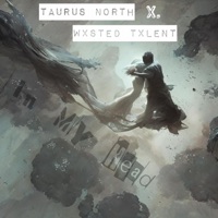 In My Head (feat. Wxsted Txlent) - Single - Taurus North