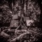 Integrity - Kamasi Washington lyrics