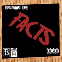 Facts - Single - Beretta Biz