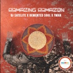 Amazing Amazon - Single