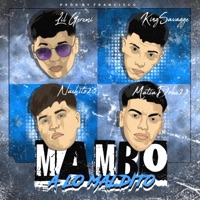 Los 23 (feat. Lil Geremi & Kingsavagge) - Single - Los 23