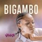 Bigambo artwork
