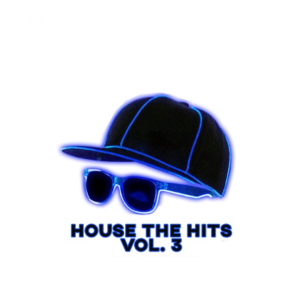 House the Hits, Vol. 3 - Single