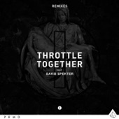Together (feat. David Spekter) [Shanahan Remix Extended Mix] artwork
