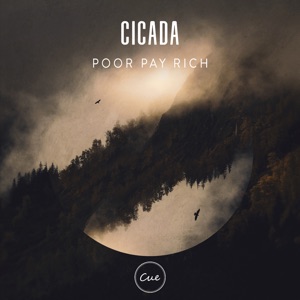 Cicada - Single