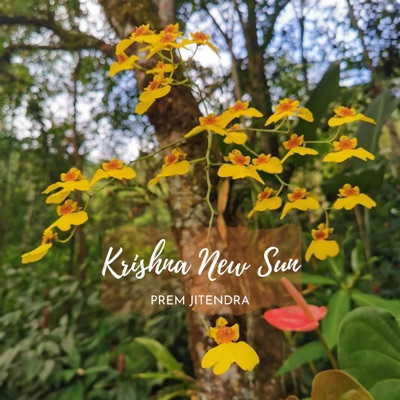 Krishna New Sun - Single
