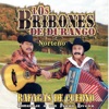 Los Bribones de Durango - Porque Me Enamoré de Ti