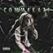 Fast Cash - Big Comma lyrics