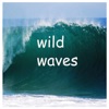 Wild Waves - Single