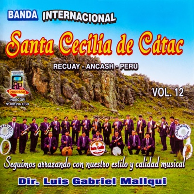 Banda Internacional Santa Cecilia de Cátac - Viaje de amor - Solamente tú