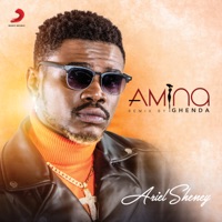 Amina (Ghenda Remix) - Single - Ariel Sheney & Ghenda