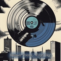 Vinyl Sky - Single - Sleeper Toons