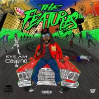 THE Features - EyeAmCamino