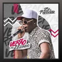 Verão do Zezinho - Zé Paredão