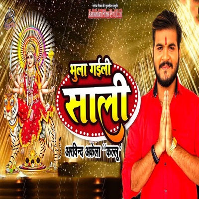 Bhula Gaili Saali - Single