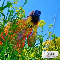 Traffic Jam - Single - Shimmi