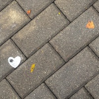 Se - Single - Diorama