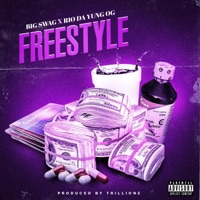 Freestyle (feat. Rio Da Yung Og) - Single - Big Swag