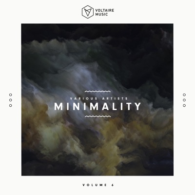 Voltaire Music pres. Minimality, Vol. 6