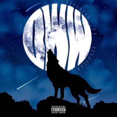 Oww - Single