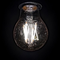 Album cover for Corpse by LZ