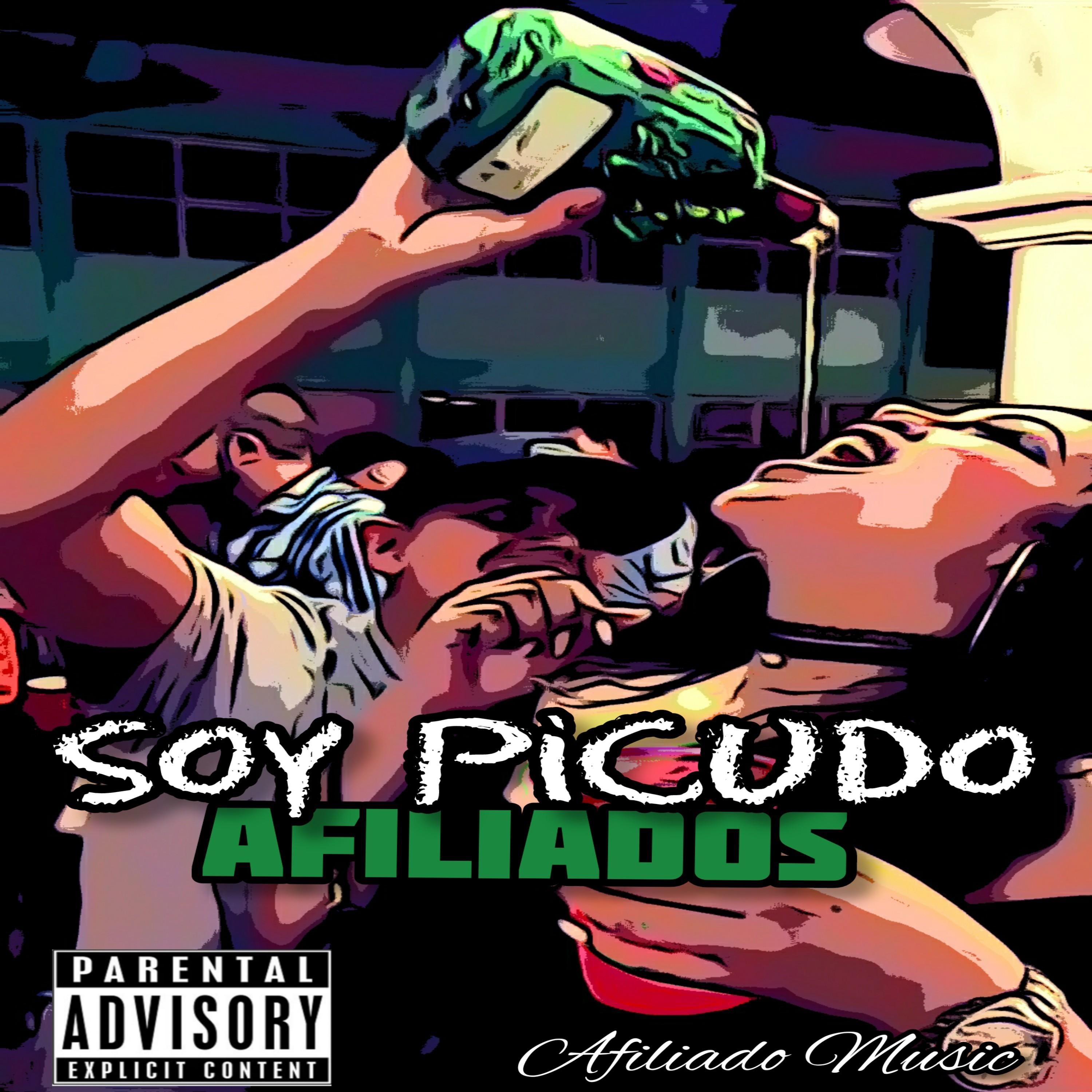 Soy Picudo - Single