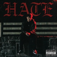 Hate - Single - Into Misery