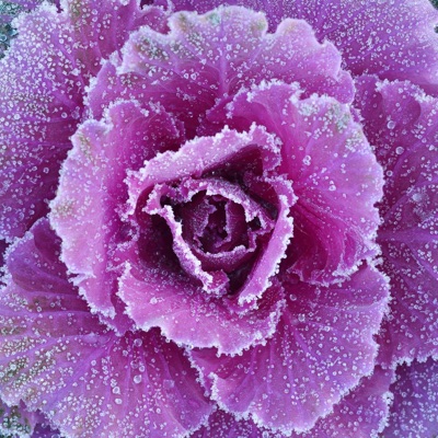 Know How (Báhkin Remix) [Báhkin Remix] - Single