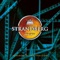 Busy Weekend (feat. Felix Zenger) - Strandberg Project lyrics