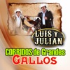 Corridos De Grandes Gallos