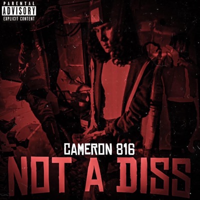 Not a Diss - Single