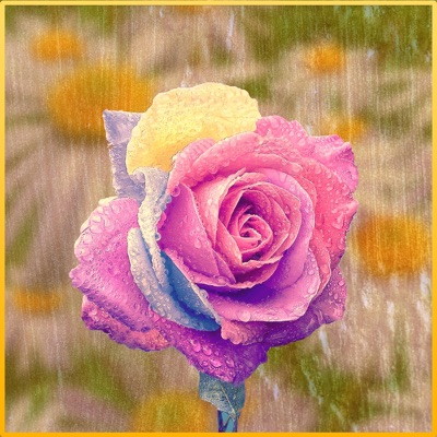 Daisy (feat. Bettina Bögl) - Single