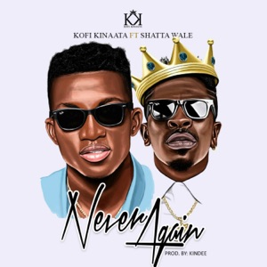 Never Again (feat. Shatta Wale) - Single