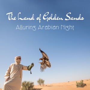 Aladdin's Dream