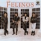Morena - Los Felinos lyrics