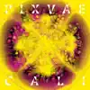 Pixvae - Memorias