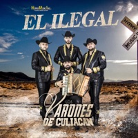 El Ilegal - Los Varones de Culiacán