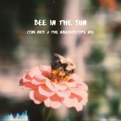 Bee in the Sun (feat. The Kaleidoscope Kid) - Single
