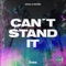 Can't Stand It artwork