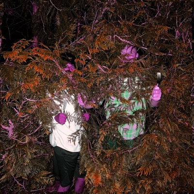 In Poor Taste - Single