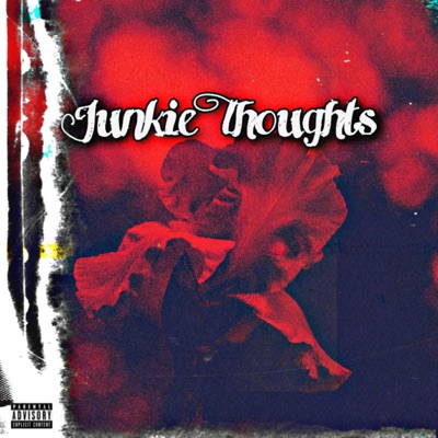Junkie Thoughts